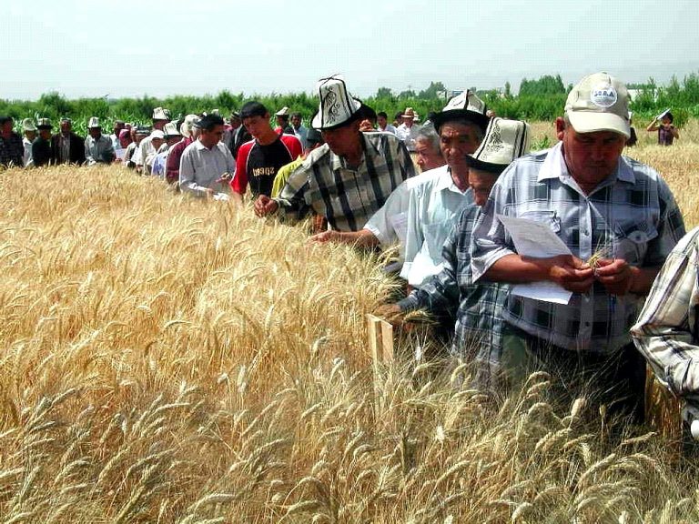 Годишен наративен извештај на МАЗЗ за 2023 година